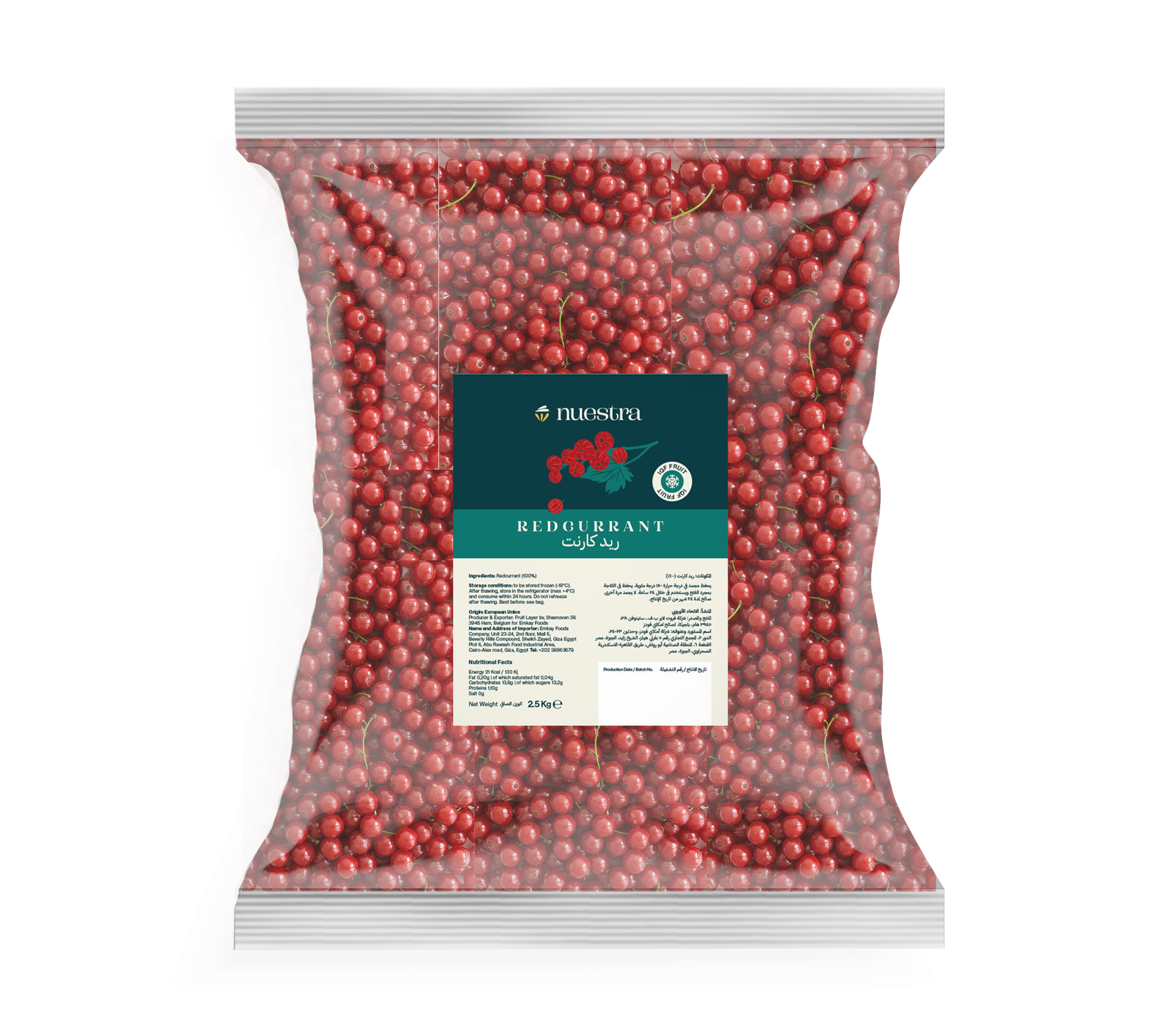 توت احمر مجمد