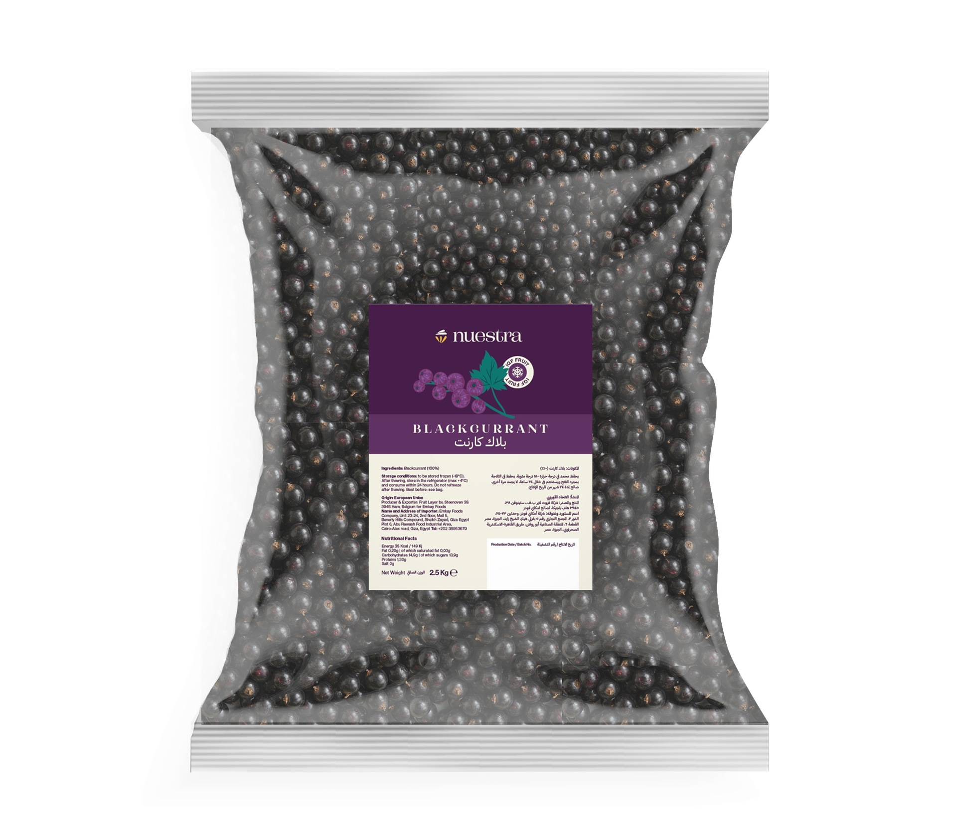 Frozen Black Currant | IQF