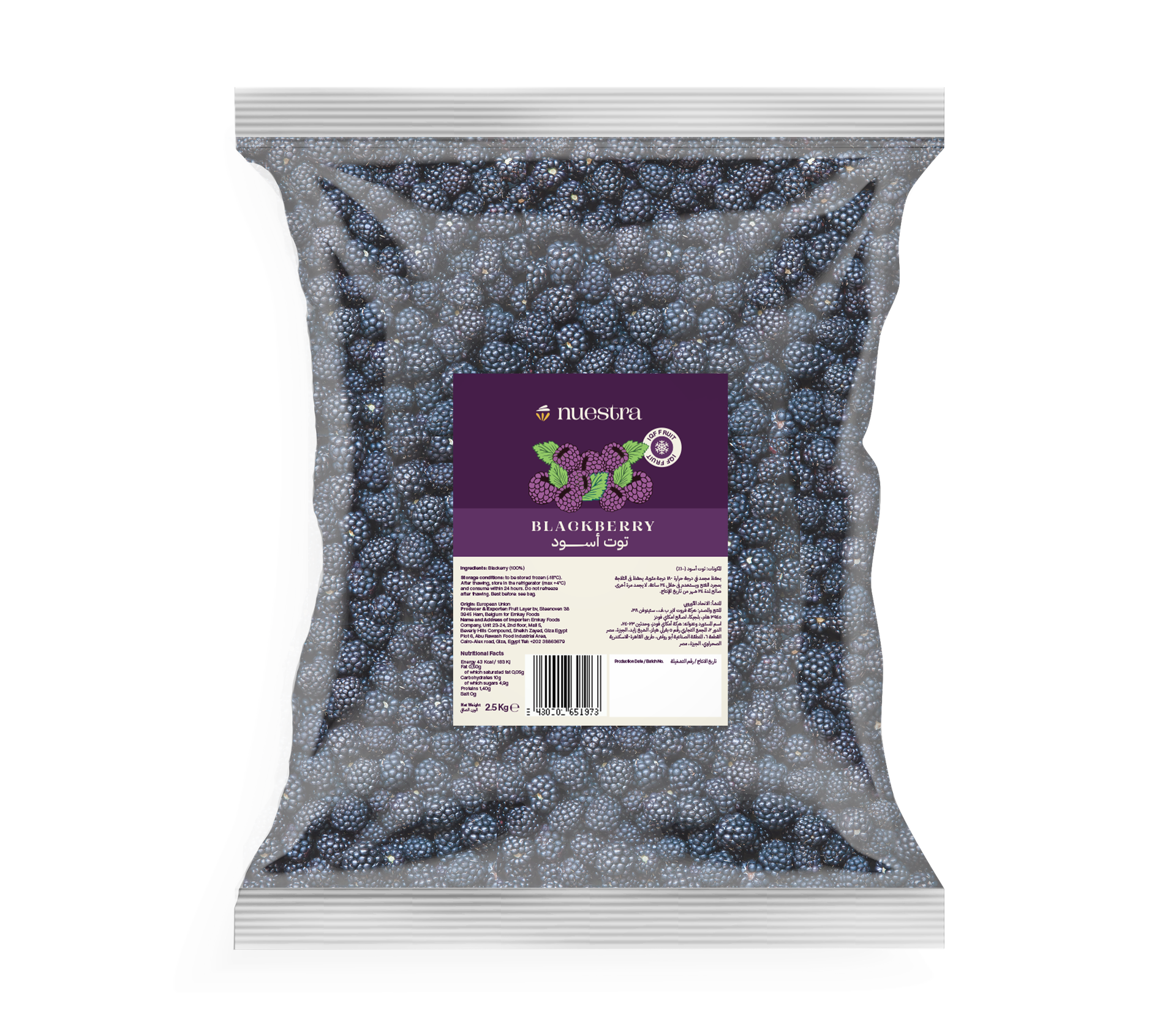 Frozen Blackberry Cultivated | IQF